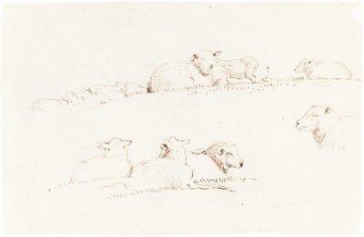 Studi di Pecore al Pascolo da George Richmond