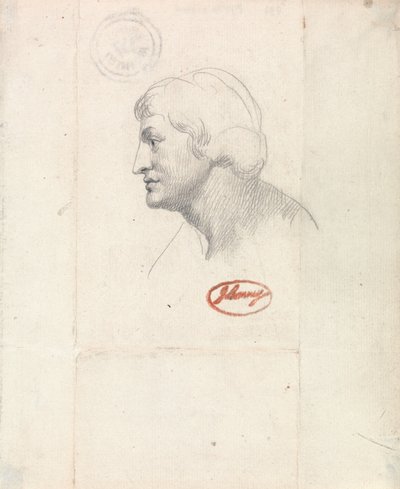 Capo di Apollo da George Romney