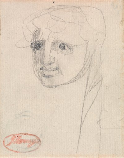 Testa di una ragazza da George Romney