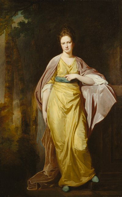 Ritratto di Mrs. Ellen Morewood in un vestito giallo da George Romney