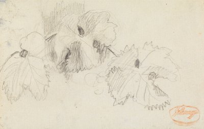 Studio delle foglie 1 da George Romney