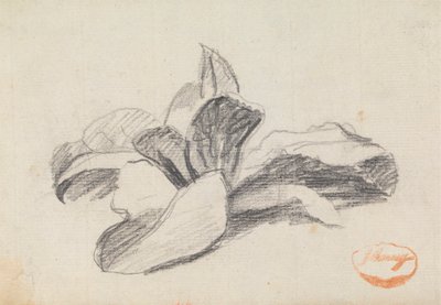 Studio di Foglie 2 da George Romney