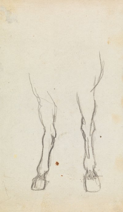 Studio delle zampe anteriori di un cavallo da George Romney