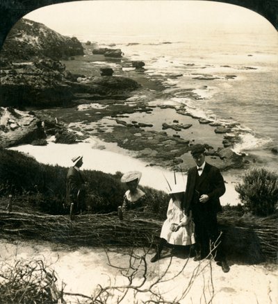Bassa marea alla Back Beach, Sorrento, Victoria, Australia, c1909 da George Rose