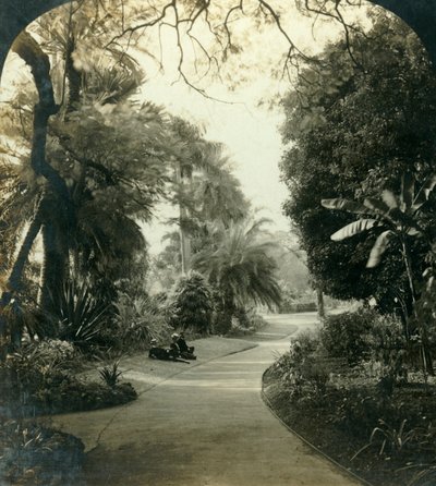 Sentiero nel Queens Park, Brisbane, Australia, c1909 da George Rose
