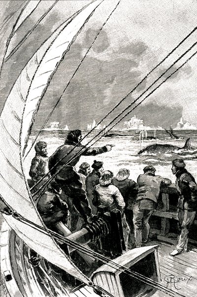 Verso il Polo: l