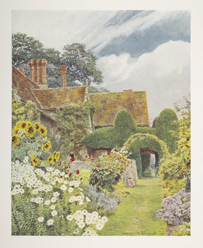 Cleeve Prior, Girasoli, illustrazione in 