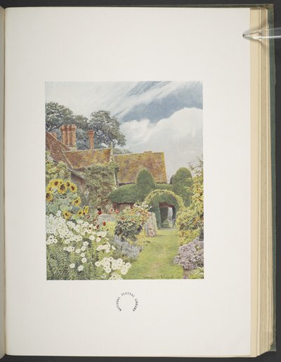 Cleeve Prior, Girasoli, illustrazione in 