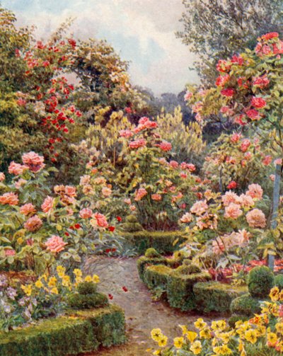 Dappertutto rose, rose" (litografia a colori) da George Samuel Elgood
