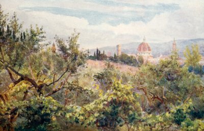 Firenze (litografia a colori) da George Samuel Elgood