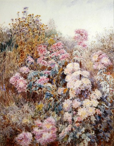 Nel giardino dell