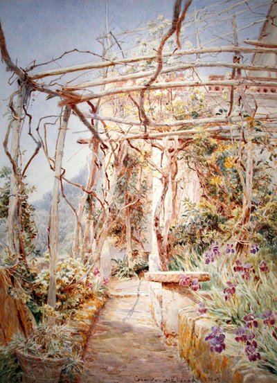 Iris sotto il pergolato da George Samuel Elgood
