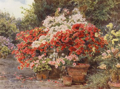 Giardini italiani: Azalee da George Samuel Elgood