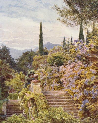 Giardini Italiani: Glicine, Villa Cavagnaro da George Samuel Elgood