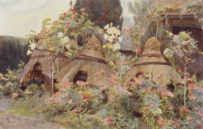 Ricamo di Lady Coventry da George Samuel Elgood