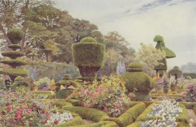 Levens, Rose e Garofani da George Samuel Elgood
