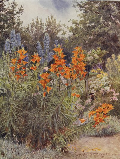 Gigli arancioni e delphinium da George Samuel Elgood
