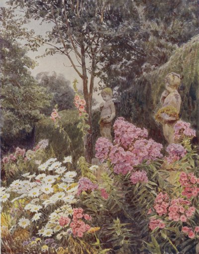 Phlox e Margherita da George Samuel Elgood