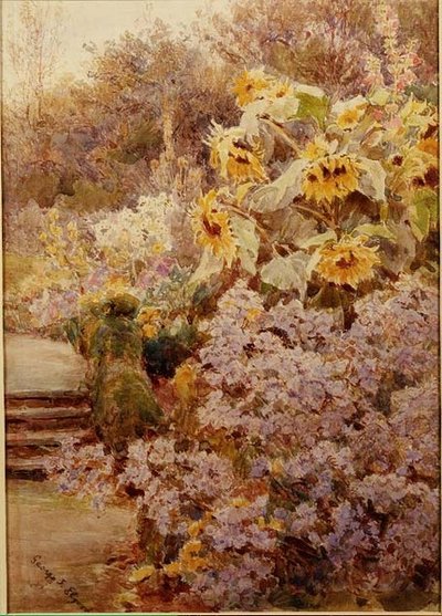 Girasoli in un bordo erbaceo da George Samuel Elgood