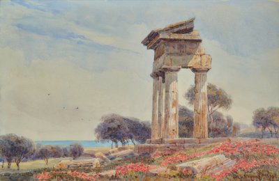 Tempio di Castore e Polluce, Gorgenti da George Samuel Elgood