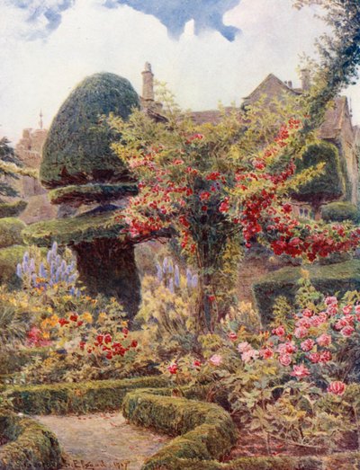 Il roseto di Levens Hall, Westmoreland (litografia a colori) da George Samuel Elgood