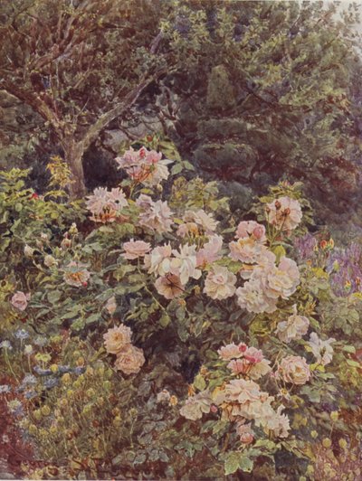 Viscontessa Folkestone da George Samuel Elgood