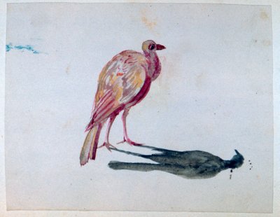 Uccello da George Sand
