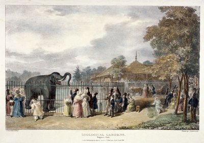 Giardini zoologici, Regent