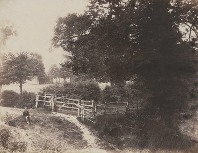 Prati verdi da George Shadbolt