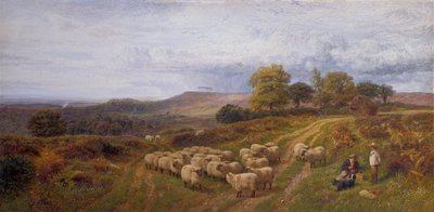 Paesaggio esteso con un pastore e il suo gregge di pecore, Surrey da George Shalders