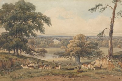 Vista lontana di Ampthill Park da George Shepherd