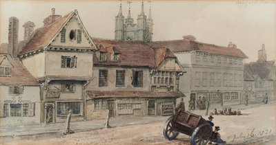Veduta di Ashford da George Shepherd