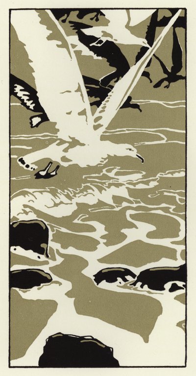 Dalla spiaggia venne un grande gabbiano bianco da George Sheringham