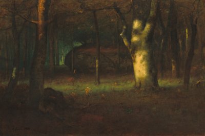 Tramonto nel bosco, 1891 da George Snr. Inness