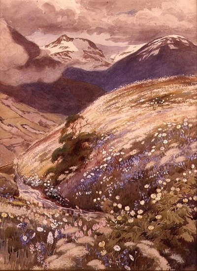 Fiori Alpini da George Soper