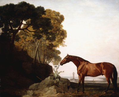 Un arabo baio in un paesaggio costiero da George Stubbs