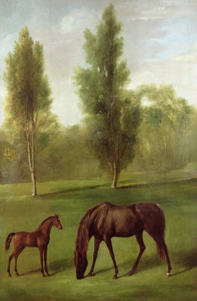 Una cavalla castana e un puledro in un paesaggio boscoso, c.1761-63 da George Stubbs