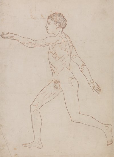 Esposizione anatomica comparata della struttura del corpo umano con quella di una tigre e di un uccello comune: Figura umana, vista laterale (studio schematico al contrario della Tavola VIII) da George Stubbs