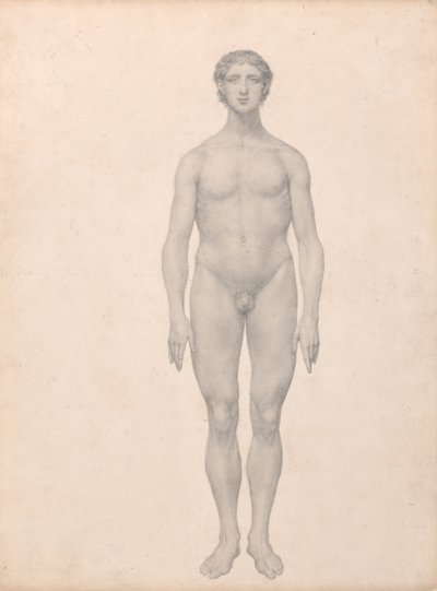 Esposizione anatomica comparata della struttura del corpo umano con quella di una tigre e di un uccello comune:  Figura umana, vista anteriore, non sezionata (Studio finito per la Tavola VI) da George Stubbs