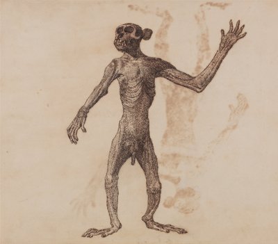Esposizione anatomica comparata della struttura del corpo umano con quella di una tigre e di un uccello comune:  Scimmia in piedi, vista anteriore da George Stubbs
