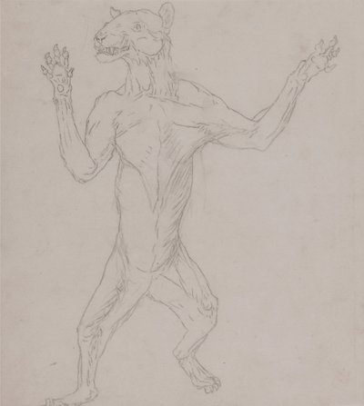 Esposizione anatomica comparata della struttura del corpo umano con quella di una tigre e di un uccello comune:  Corpo della tigre, in piedi in posizione umana da George Stubbs