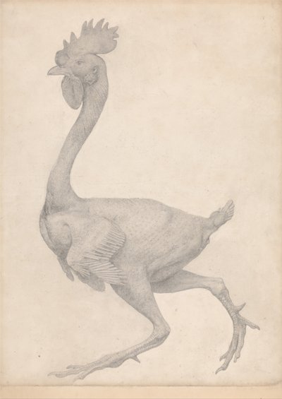 Esposizione anatomica comparata della struttura del corpo umano con quella di una tigre e di un volatile comune: Uccello, vista laterale con la maggior parte delle piume rimosse (Studio finito per la Tavola X) da George Stubbs