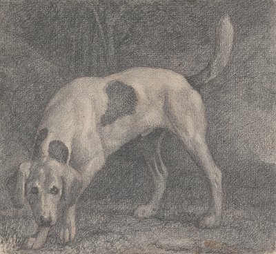 Un segugio sulla pista da George Stubbs