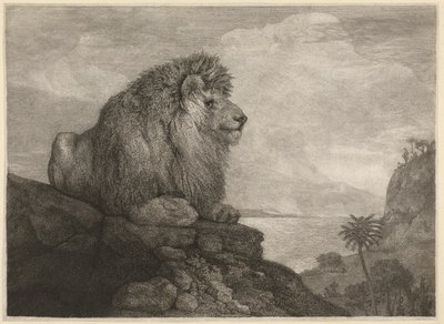 Un Leone (Un Leone che Riposa su una Roccia) inciso dall