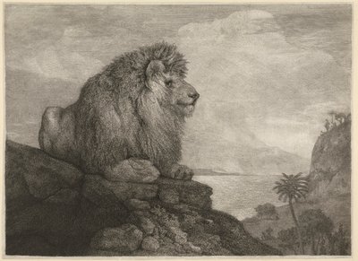 Un leone [Un leone che riposa su una roccia] da George Stubbs