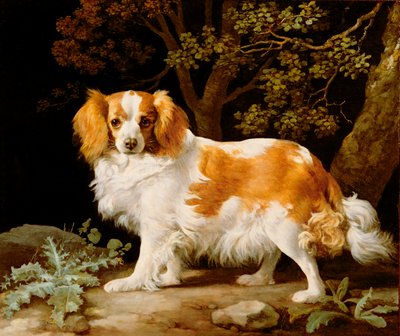 Un King Charles Spaniel fegato e bianco in un paesaggio boscoso da George Stubbs