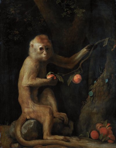 Una scimmia da George Stubbs