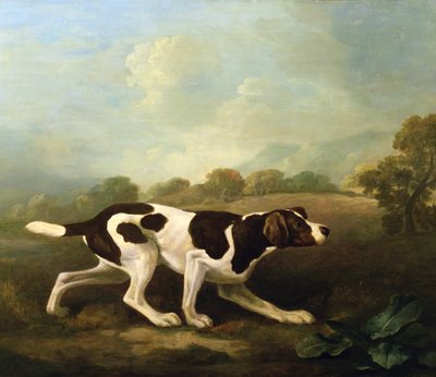 Un cane da punta da George Stubbs