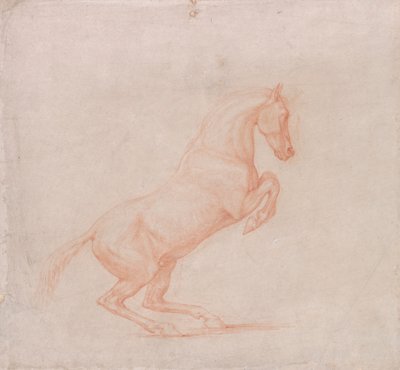 Un Cavallo Impennato, Rivolto a Destra da George Stubbs