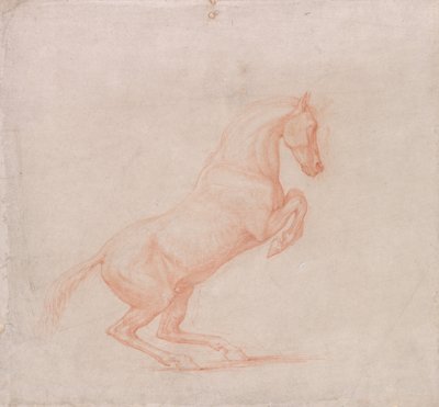 Un cavallo rampante, rivolto a destra da George Stubbs